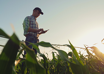 farmer working on land